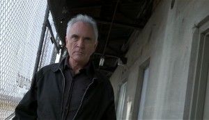 Terence Stamp in The Limey